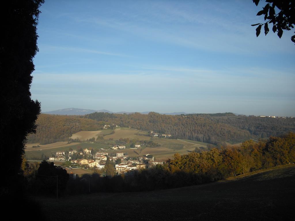 Agriturismo La Scarpaia Anghiari Exterior foto