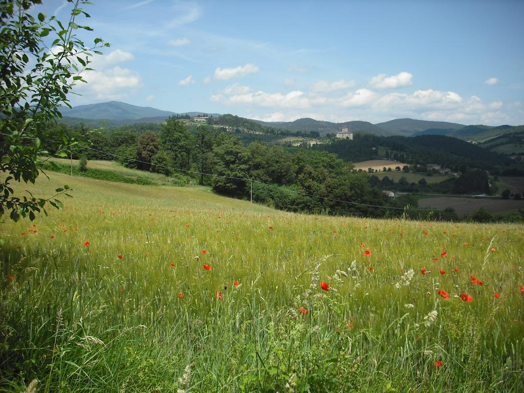 Agriturismo La Scarpaia Anghiari Exterior foto