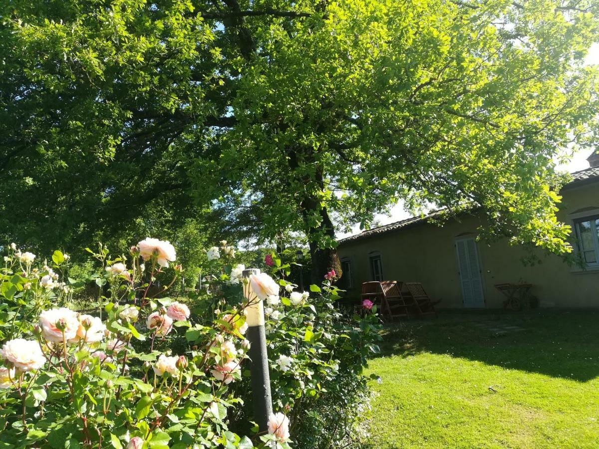 Agriturismo La Scarpaia Anghiari Exterior foto